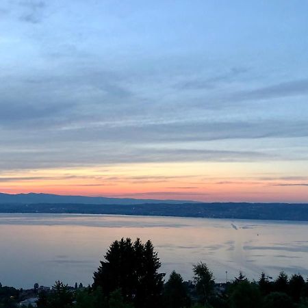 Апартаменты Les Vies En Rose Эвиан-ле-Бен Экстерьер фото